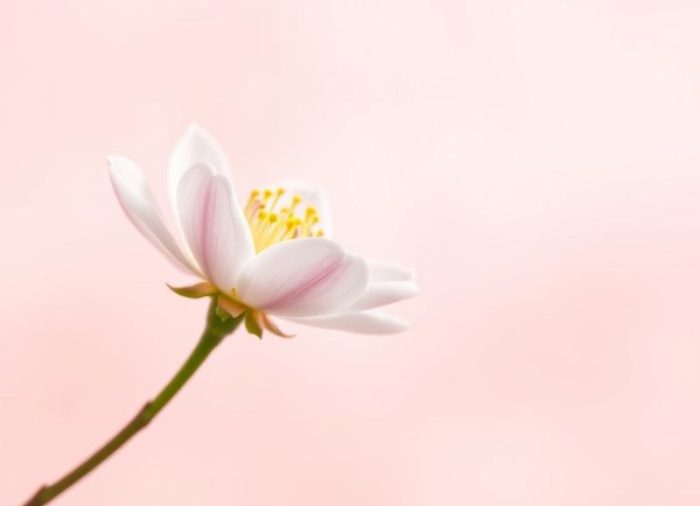 Menopauza: objawy, zmiany hormonalne i wsparcie psychologiczne
